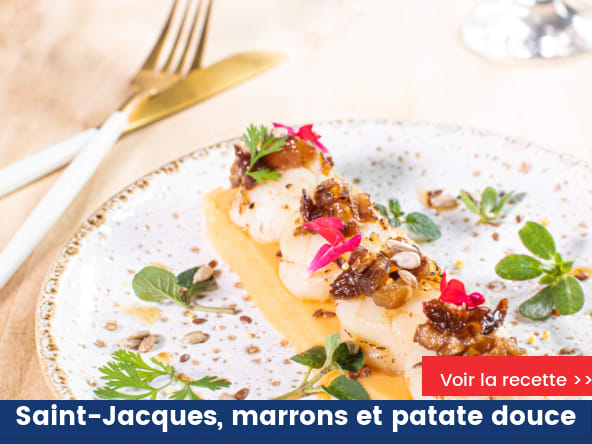Noix de Saint-Jacques aux marrons et purée de patate douce